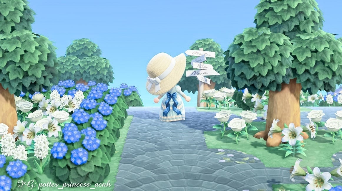 ACNH Hydrangeas: What Colors Are Available? | Decorating Your Island!