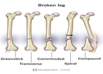 Need a Break? How to Call Time in MLB The Show 23 Like a Pro