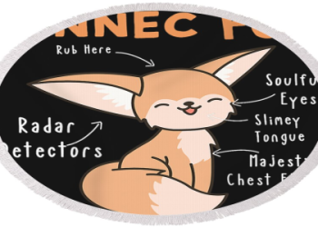 Is Fennec Radar Right for You? Find Out Here!