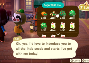 ACNH Hydrangeas: What Colors Are Available? | Decorating Your Island!