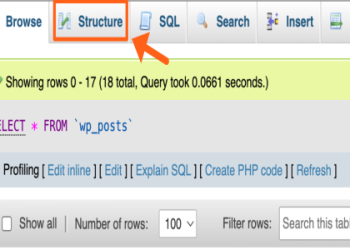 December Spotlight Cache: Step-by-Step Guide to Optimizing Your Cache in December!