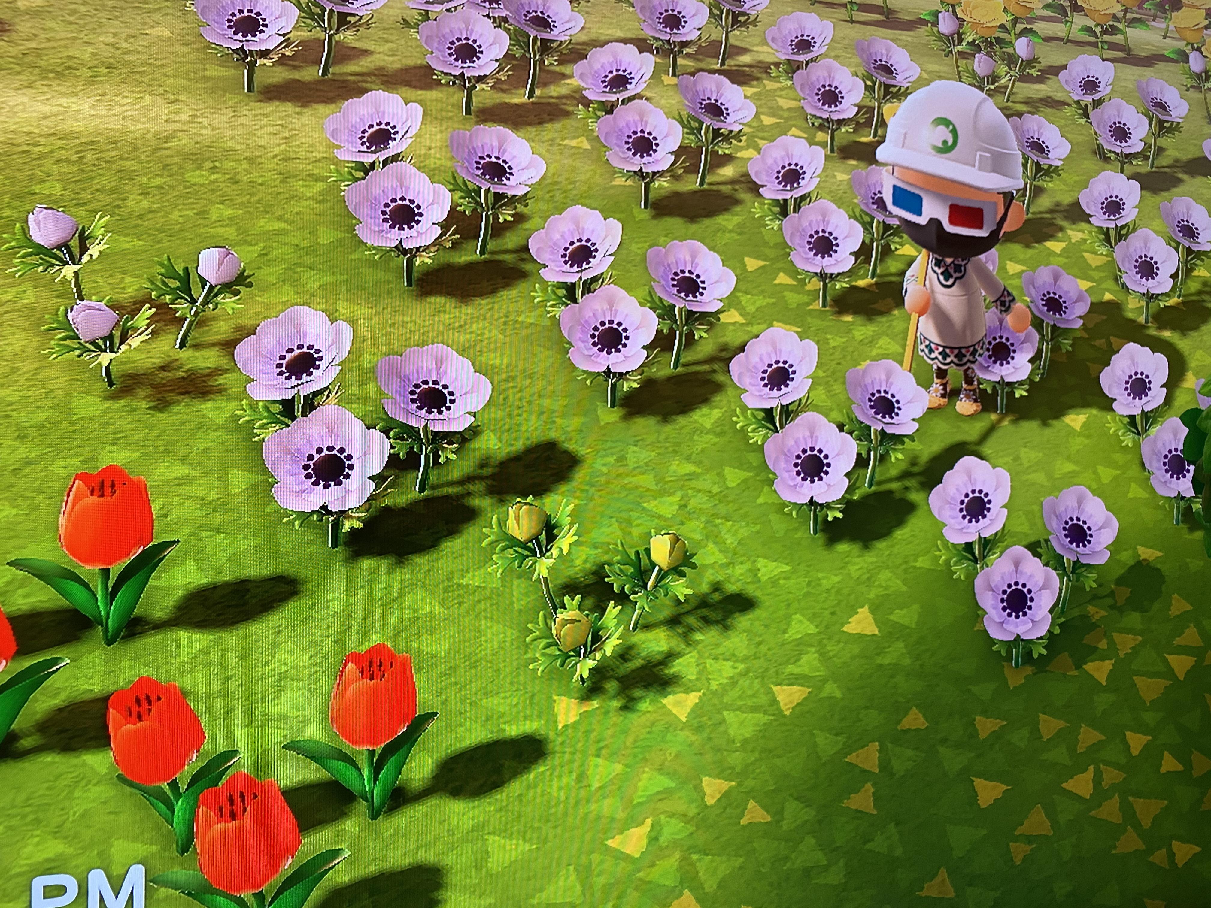 White Windflower in Animal Crossing: Where to Find It?
