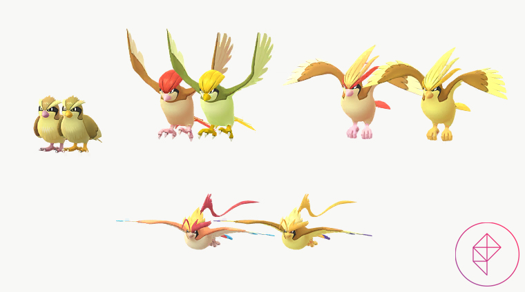 Shiny Pidgey Line Evolution: How to Evolve Your Shiny Pidgey, Pidgeotto, Pidgeot
