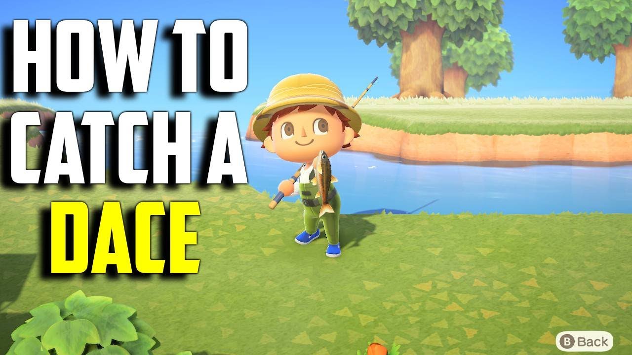 Need Dace Animal Crossing? Heres How! (Catch This Fish Easily in Your Game Today)
