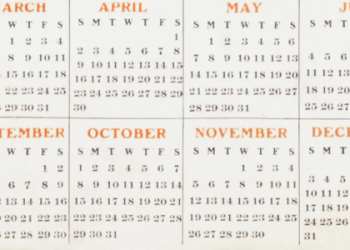 How to use harbinger d20? Follow these simple steps for beginners.