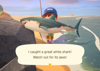 January Fish ACNH: What Can You Catch and Sell Them?