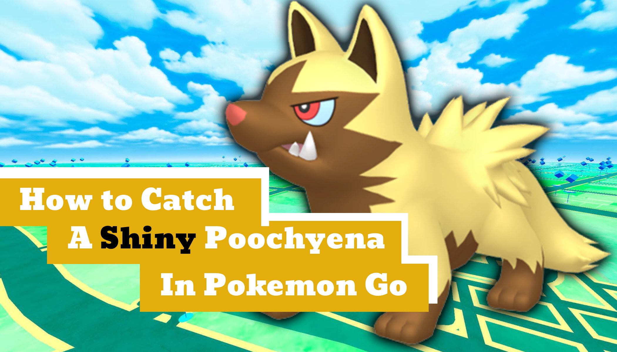 Poochyena Pokemon Go: Is it rare? Catching tips here!