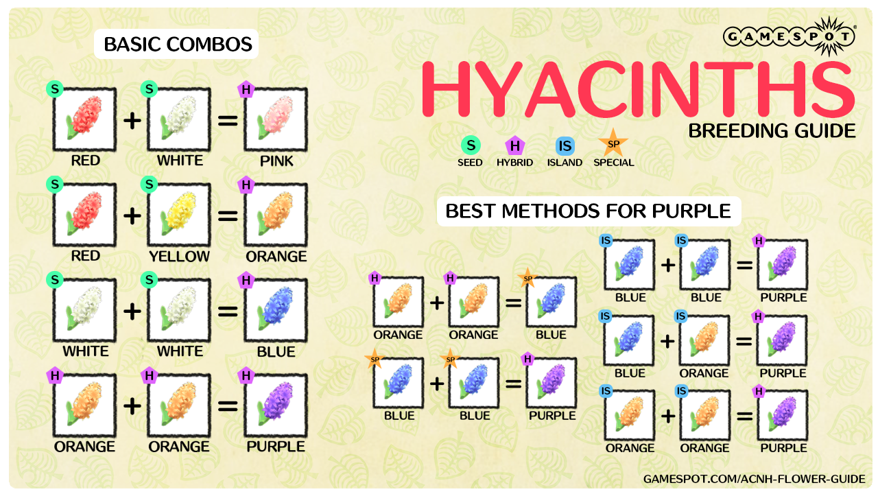 Yellow Hyacinth Animal Crossing: Easy Growing Guide & Best Uses!