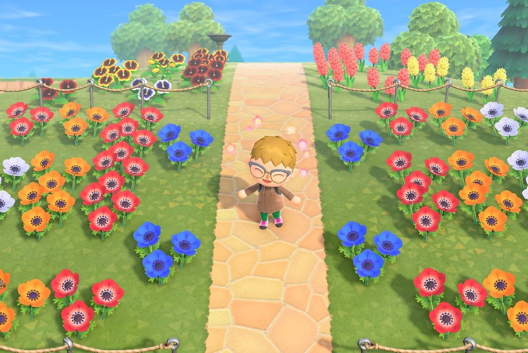 Animal Crossing New Horizons Red Windflower: Ultimate Guide to Get This Rare Flower!