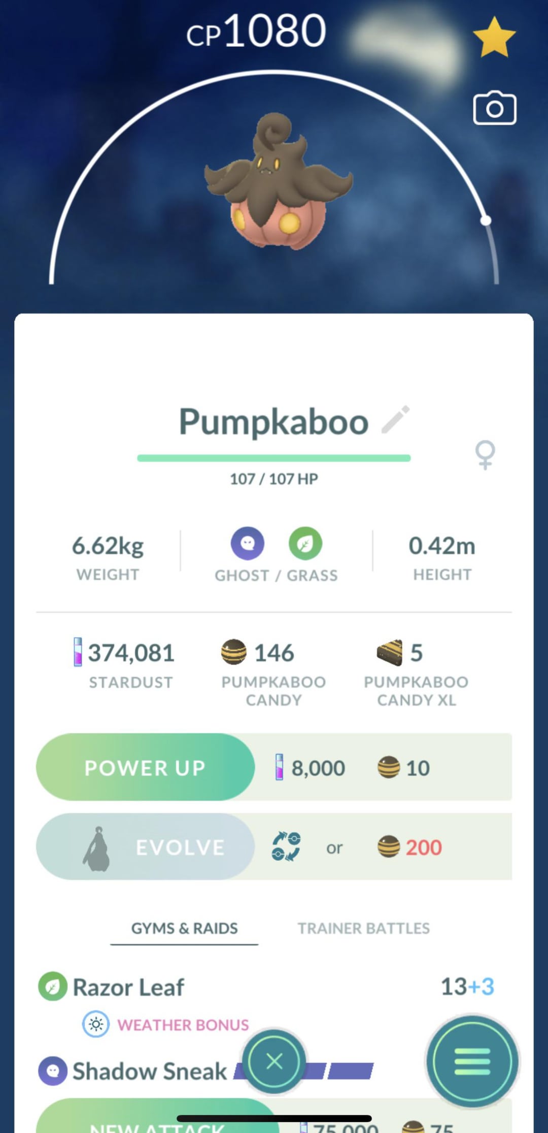 Is Pumpkaboo Good to Use? Pros & Cons Analysis.