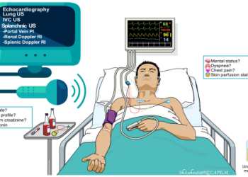 Apex Zone Predictor Tool: How to Use It (Quick Start Guide)