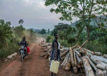 How to Calculate Average Damage Delta Per Round? Get the Simple Steps Now!