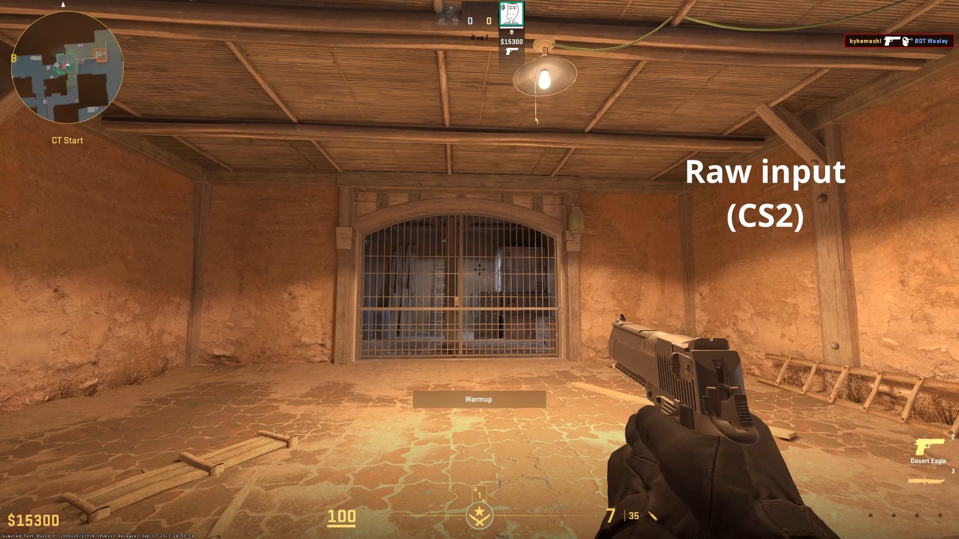 Better Aim in CSGO? How Raw Input Can Make a Difference