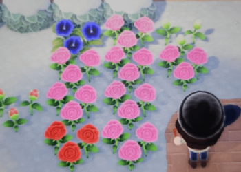 Purple Roses in ACNH: Secrets (Unlock the Rare Flower Colors!)