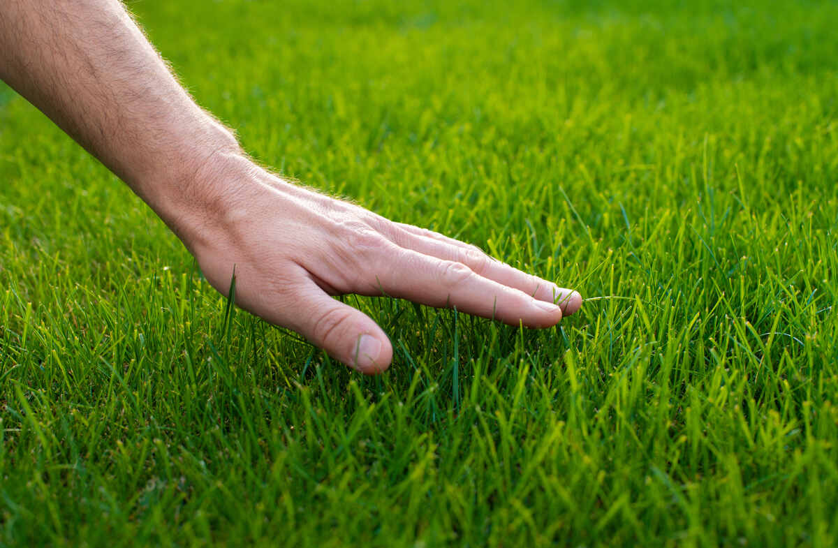 Grass Floor: Is It Right for You? (Simple Tips to Help You Decide)
