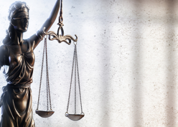 Rule 34 Fall Out: See What Everyone is Looking For