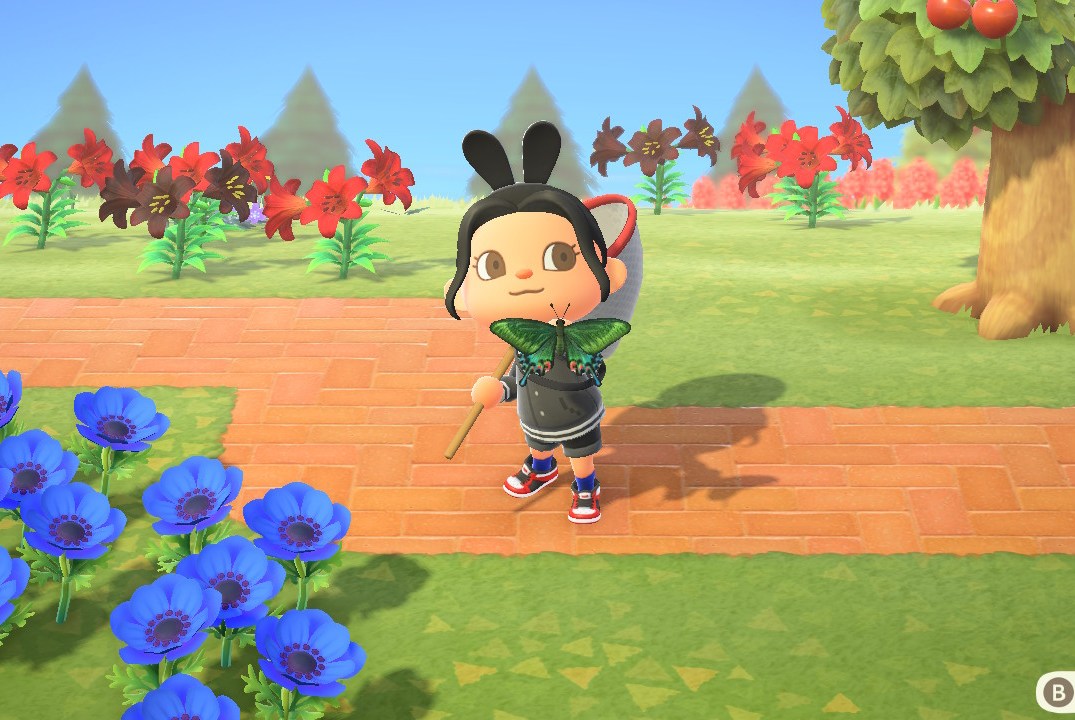 New Animal Crossing December Sea Creatures (Catch These Before Theyre Gone!)