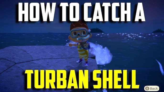 Get Your ACNH Turban Shell Now: Simple Tips For Animal Crossing New Horizons Players